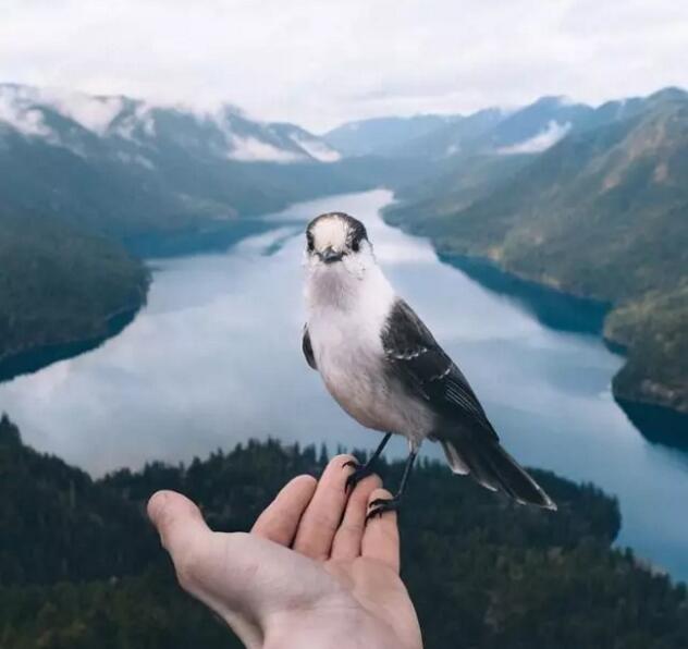 【因为努力,你才能拥有更多选择】 【因为努力,你才能拥有更多选择】