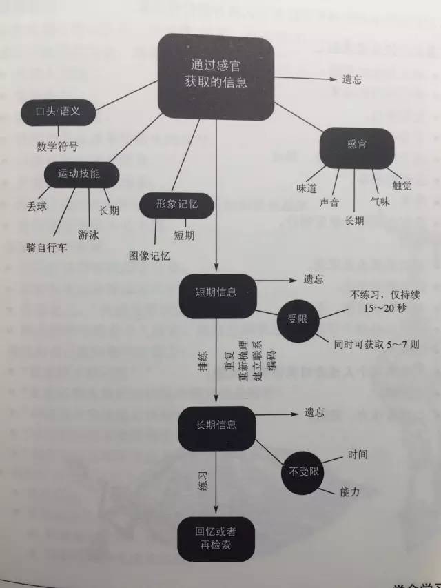 【如何打造属于自己的个人学习系统】